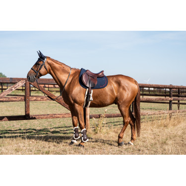 Sottosella Essentiel Salto GEM Equitazione Blu navy / logo bordeaux