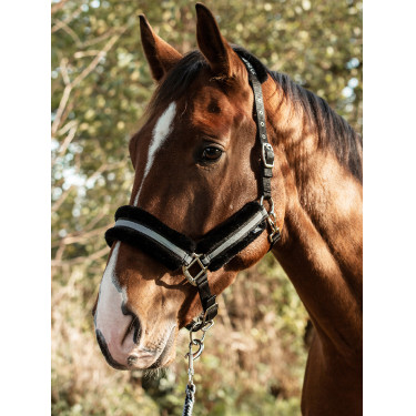 Capestro Mountain Horse