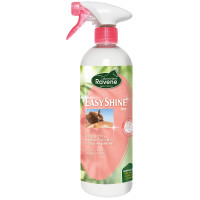 Easy Shine lucidante Ravene
