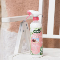Easy Shine lucidante Ravene Easy Shine lucidante Ravene