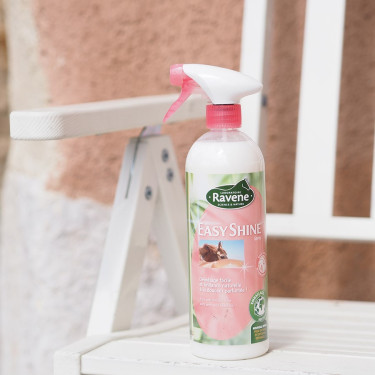 Easy Shine lucidante Ravene Easy Shine lucidante Ravene
