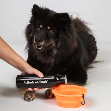 Ciotola per cane Back on Track