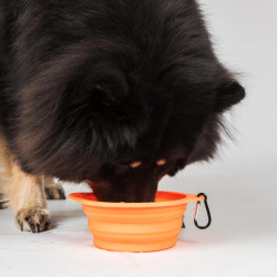Ciotola per cane Back on Track