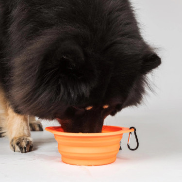 Ciotola per cane Back on Track