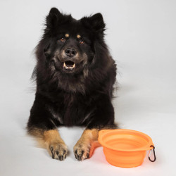 Ciotola per cane Back on Track