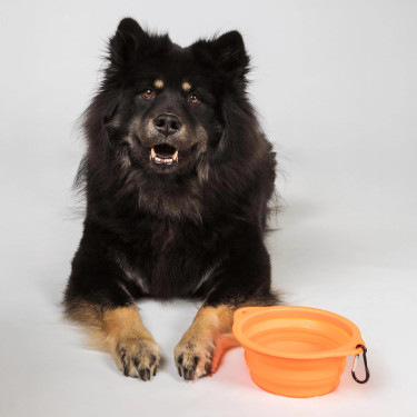Ciotola per cane Back on Track