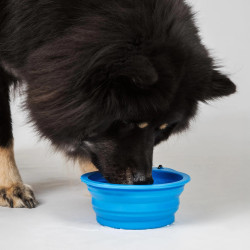 Ciotola per cane Back on Track