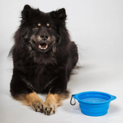 Ciotola per cane Back on Track