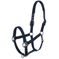 Covalliero Capezza AH26
