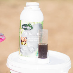 Nutriflex Ravene Nutriflex Ravene