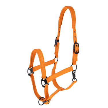 Covalliero Capezza AH26 Arancione