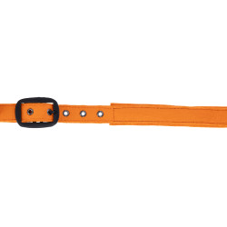 Covalliero Capezza AH26 Arancione