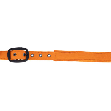 Covalliero Capezza AH26 Arancione