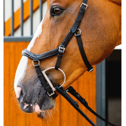Briglia anatomica da competizione Micklem Horseware