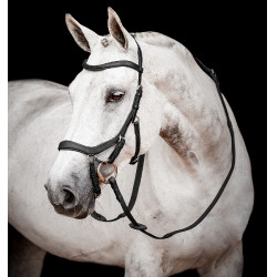 Briglia da equitazione Micklem 2 con redini in gomma