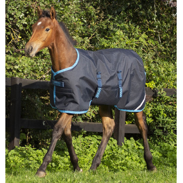 Coperta da equitazione per puledri 200g Horseware