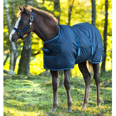 Coperta da equitazione per puledri 200g Horseware