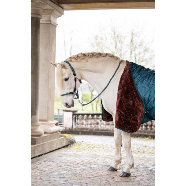 Coperta da box Winter II - HKM