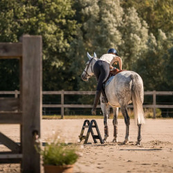 Scaletta pieghevole 60 cm per equitazione – nera | equi-clic