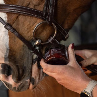 Burro imboccatura cavallo mandorla 125 ml | Equitazione