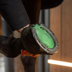 Cataplasma Sali di Epsom 600 g per cavalli | Equitazione