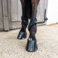 Paraglomo stinchiere equitazione giovani cavalli choco L Paraglomo stinchiere equitazione giovani cavalli choco L