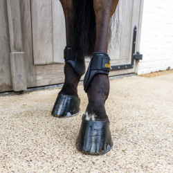 Paraglomo Young Horses Classic choco L Nero