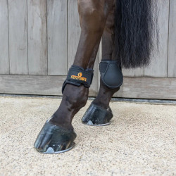 Paraglomo Young Horses Classic choco L Nero