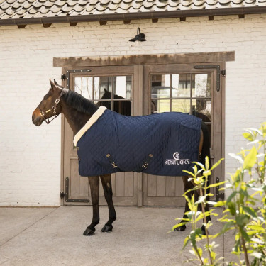 Coperta da presentazione cavallo 160 g blu navy 165