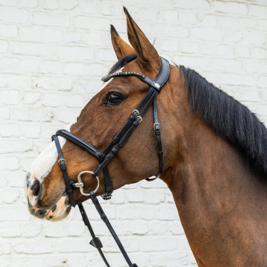 Testiera equitazione Dy'on in pelle con capezzina flash