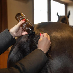 Siero crescita criniera e coda cavallo 500 ml | Equitazione
