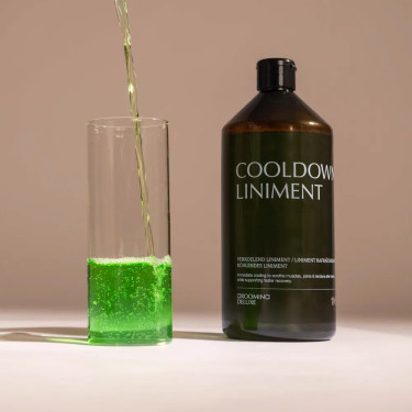 Linimento rinfrescante cavalli 1000 ml | Equitazione