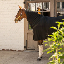 Coperta asciugante in pile per cavallo con collo nero