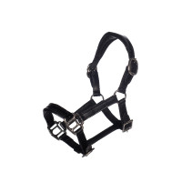 Capezzina in cuoio verniciato Hobby Horsing - HKM