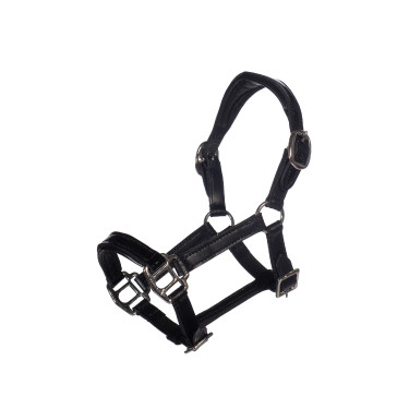 Capezzina in cuoio verniciato Hobby Horsing - HKM