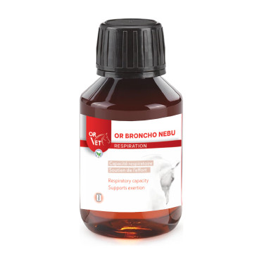Nebulizzatore respiratorio cavallo agli oli essenziali | equi-clic