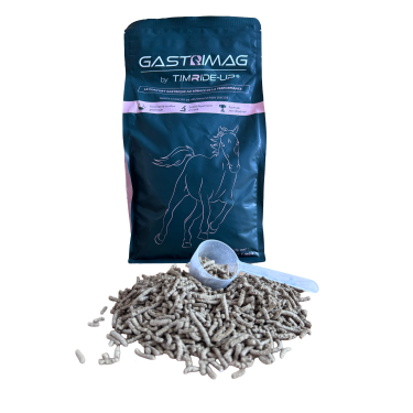 Gastrimag di TIMRIDE‑UP® Gastrimag di TIMRIDE‑UP®