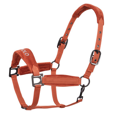 Capestro HV Polo Luxury Zucca Arancione