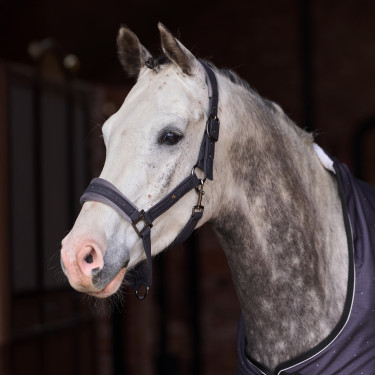 Capestro Imperial Riding Penny Herringbone