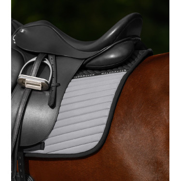 Sottosella Reflex Waldhausen