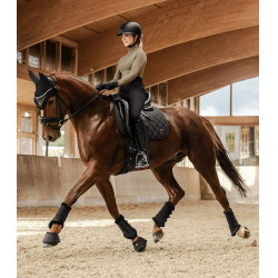 Stinchiere da dressage Phoenix Waldhausen Stinchiere da dressage Phoenix Waldhausen