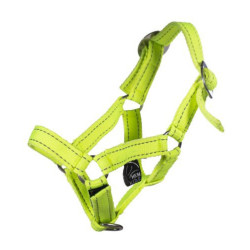Cavezza Riflettente Hobby Horsing - HKM