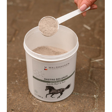 Integratore cavalli Gastro Balance Waldhausen | Equitazione