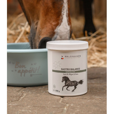 Integratore cavalli Gastro Balance Waldhausen | Equitazione