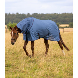 Coperta antimosche Waldhausen FlyControl con copricollo Blu