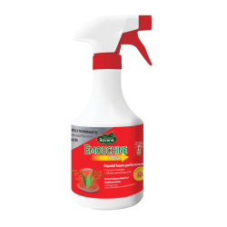 Emouchine Total Ravene Emouchine Total Ravene