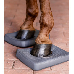 Plantari Waldhausen Health + Care Balance Grigio