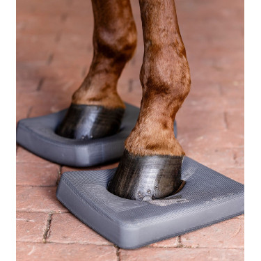 Plantari Waldhausen Health + Care Balance Grigio