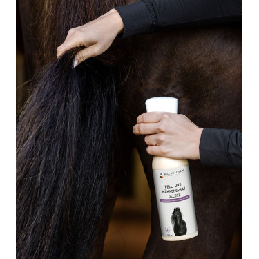 Spray lucidante criniera cavallo Waldhausen 500 ml Spray lucidante criniera cavallo Waldhausen 500 ml