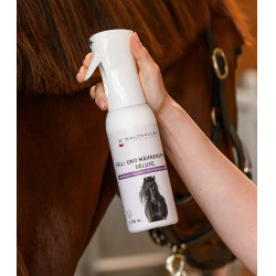 Spray lucidante criniera cavallo Waldhausen 500 ml Spray lucidante criniera cavallo Waldhausen 500 ml